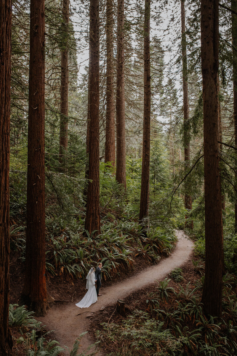 Bride and groom hiking up trail in a redwood forest