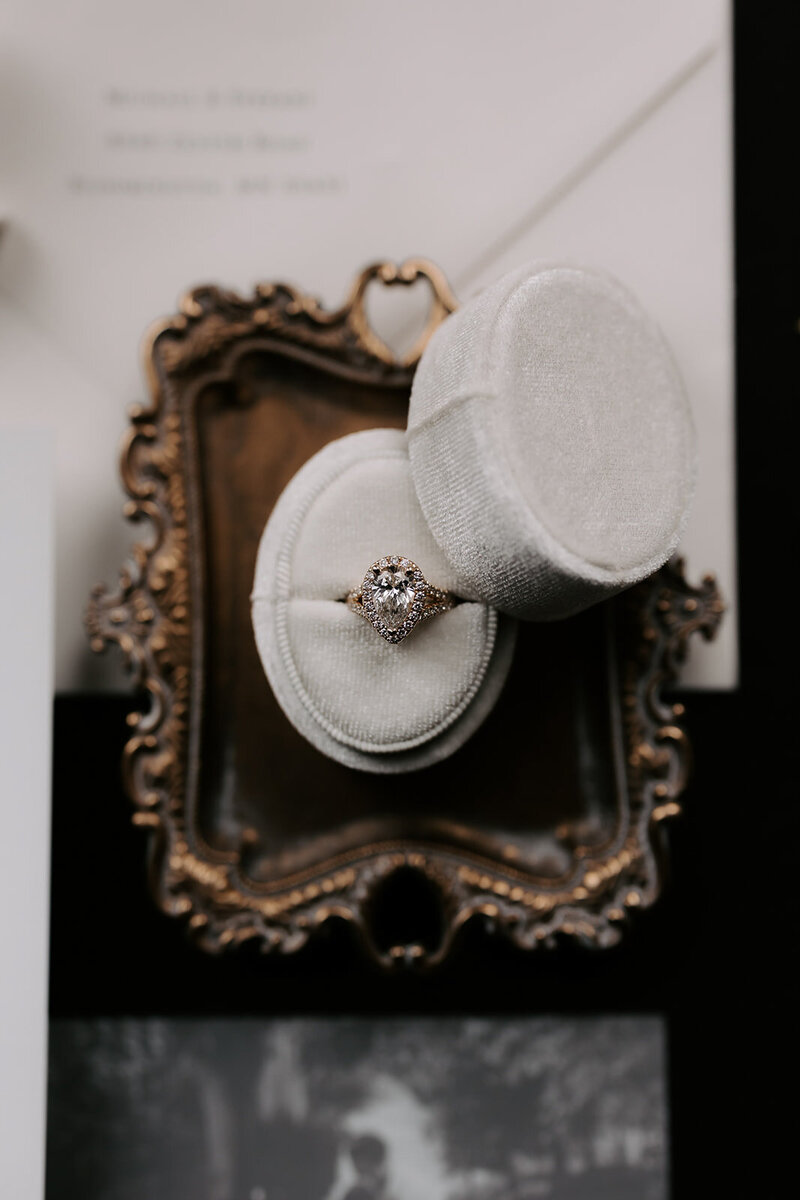 Minnesotaluxurywedding-3
