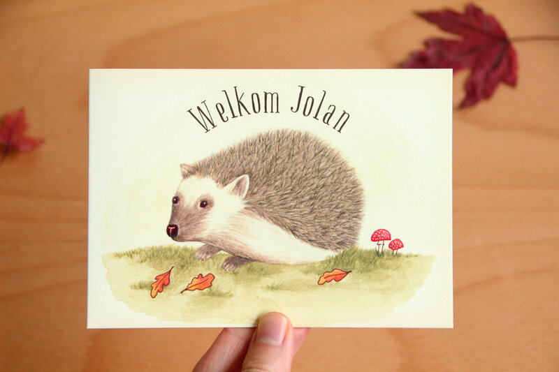 watercolor porcupine for baby boy birth card