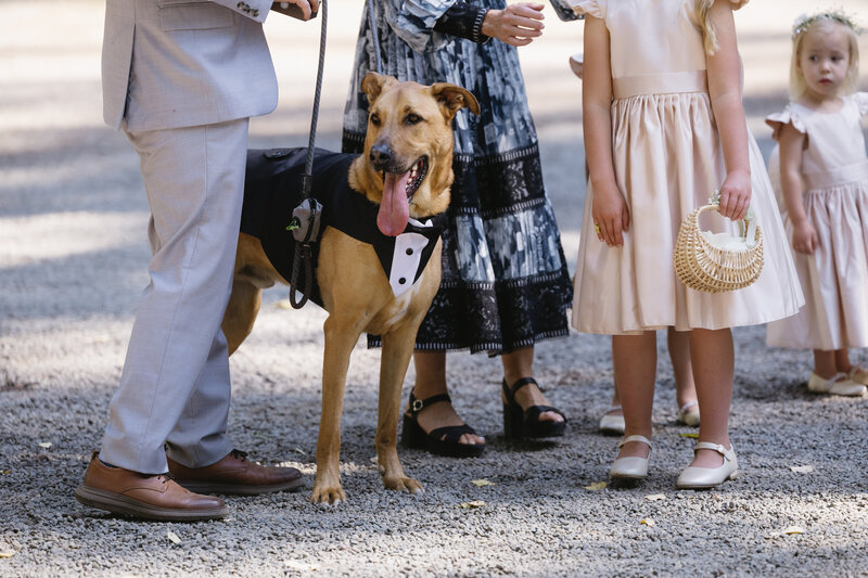 Bay-Area-Wedding-Photographer-7