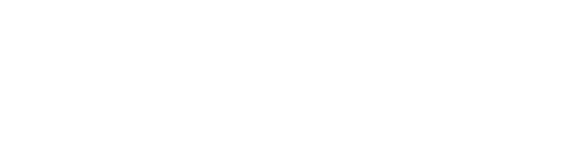 Lexi Foster Photography logo