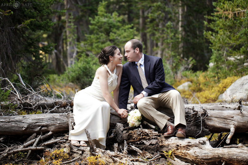 Couple Sits on a fallen log and poses for a romantic photo on their wedding day at the Indian Peaks Wilderness Area of Colorado