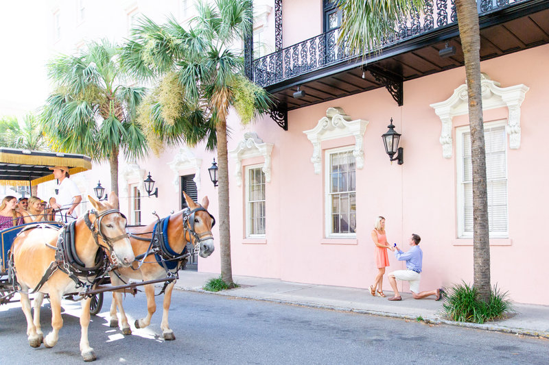 Horse and Carriage Downtown Charleston Engagement