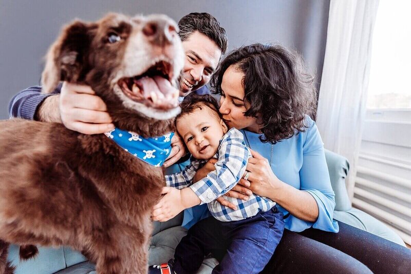 A lively family moment with a pet: A family of three smiles and laughs with a fluffy brown dog wearing a blue bandana; the parents kiss their toddler son on the cheeks.