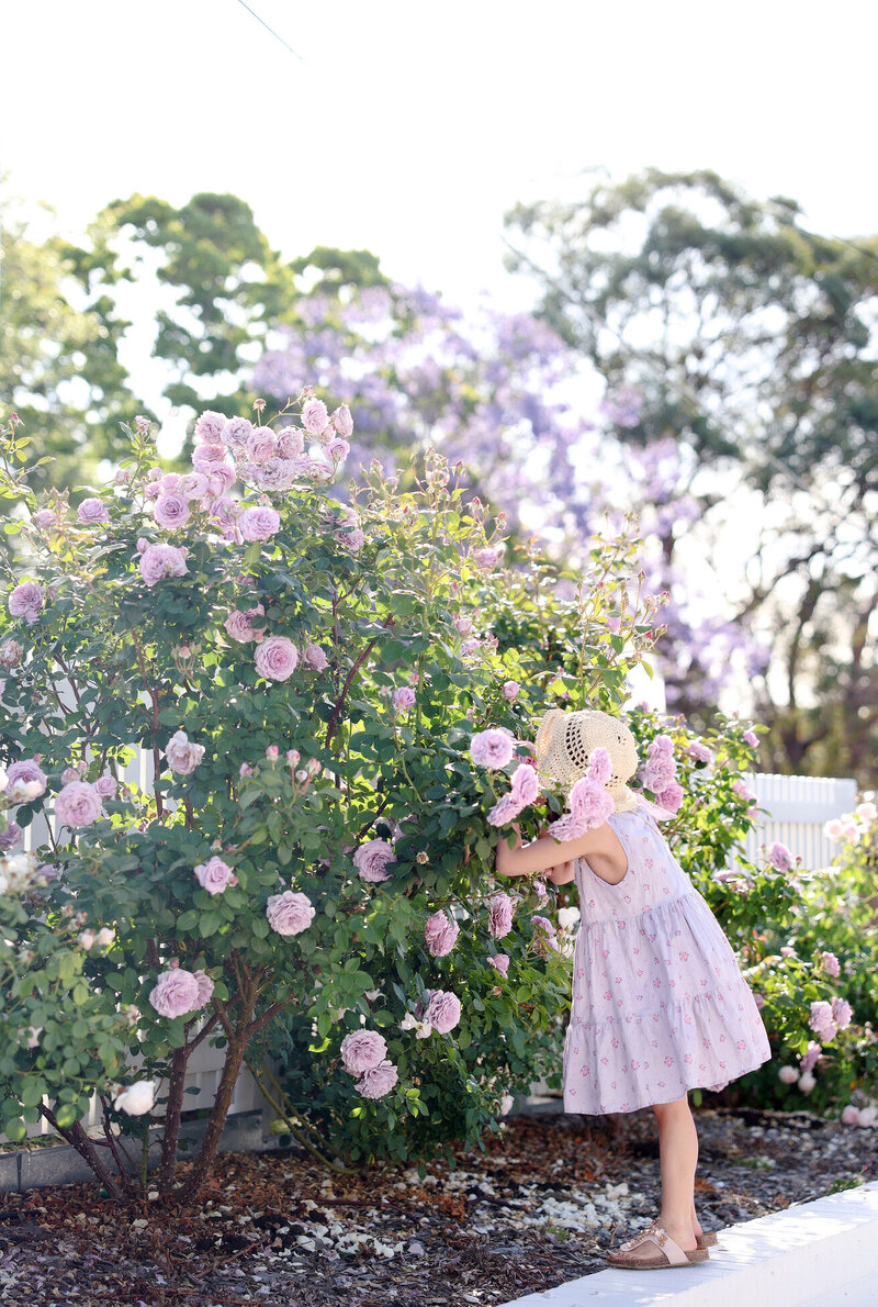 summerhope garden 2