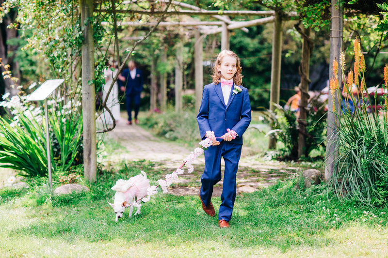 son walks dog to wedding ceremony