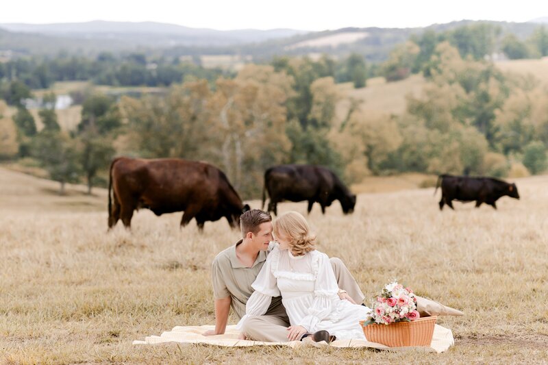 dreamy-picnic-engagement-session-in-delaplane-virginia-00001