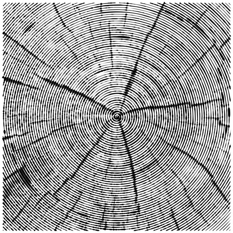 Grayscale Illustration of tree rings