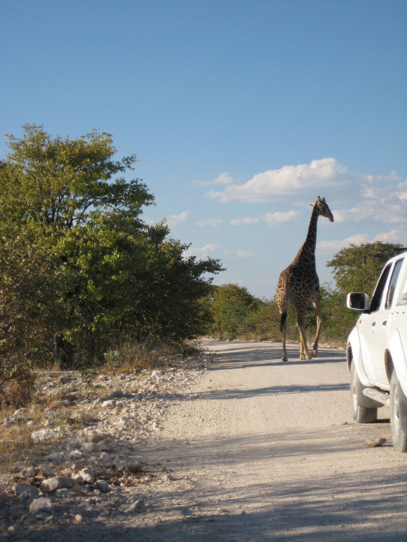 Reis_met_kinderen-overige-bestemmingen-Namibie-safari