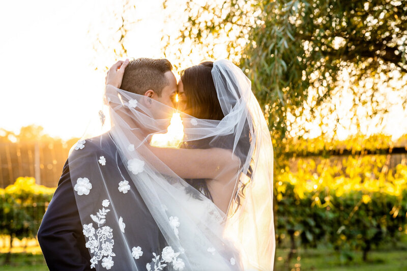bride and groom, hugging in front of the sunset on the grounds of Valenzano winery