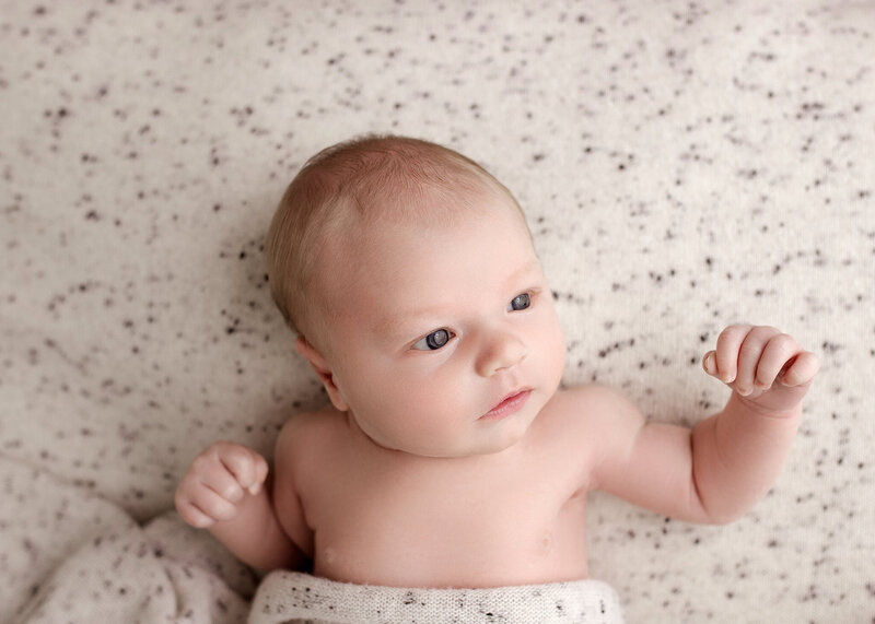 Edmonton Newborn Portraits by Kelsie Kelly Photographer 2025 YEG Best (1)