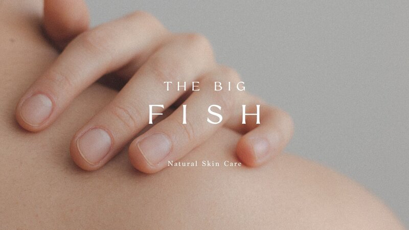 the big fish cover