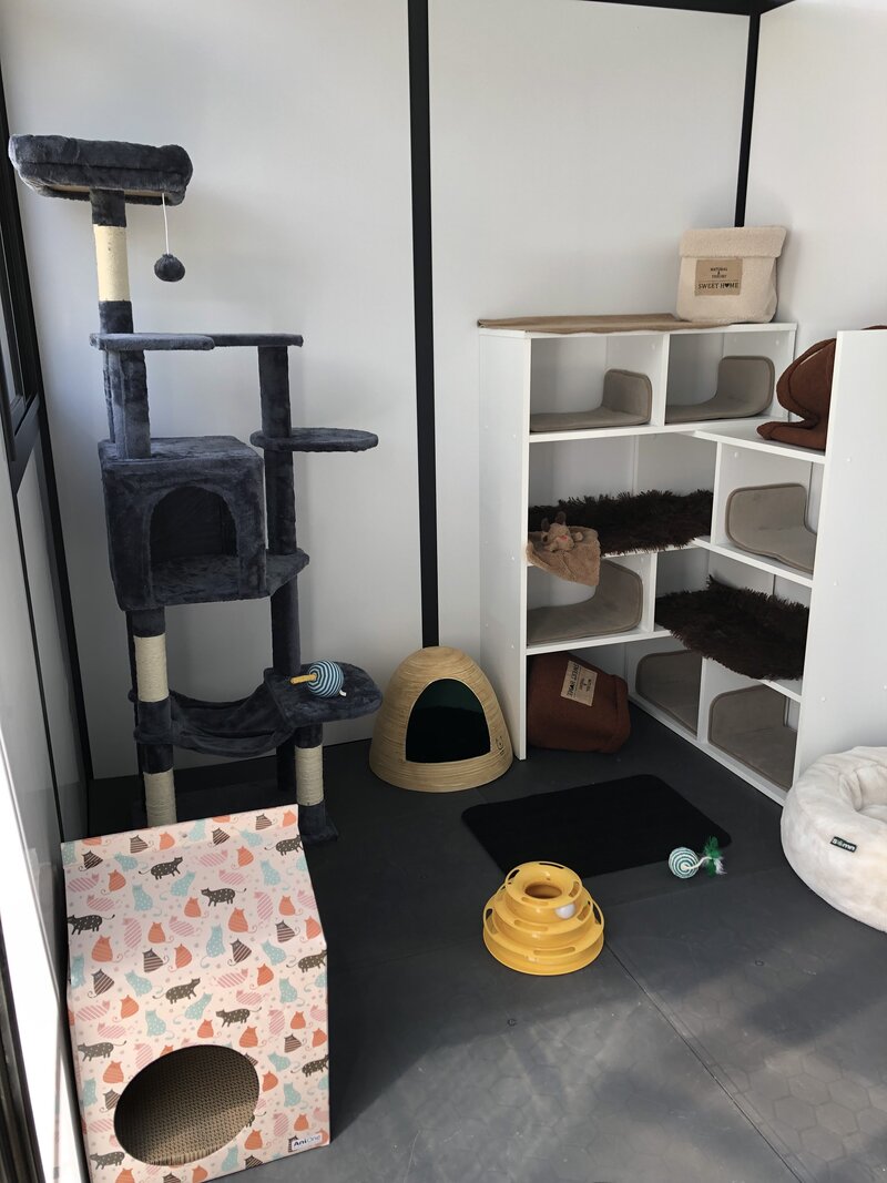 Enclos en cours d'aménagement intérieur.