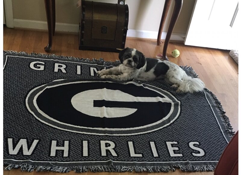 Grimsley Whirlies Tapestry Southern Branded Textiles