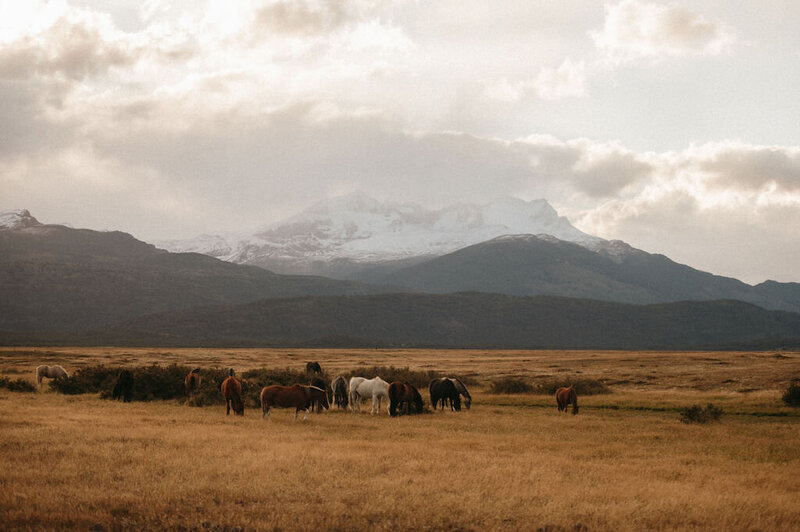 Landscape view from Torres del Paine, Patagonia.