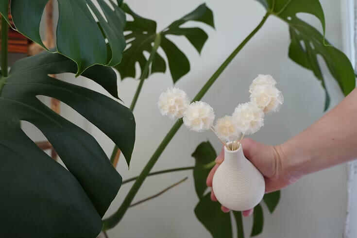 Preserved Scabiosa Bunch (4)