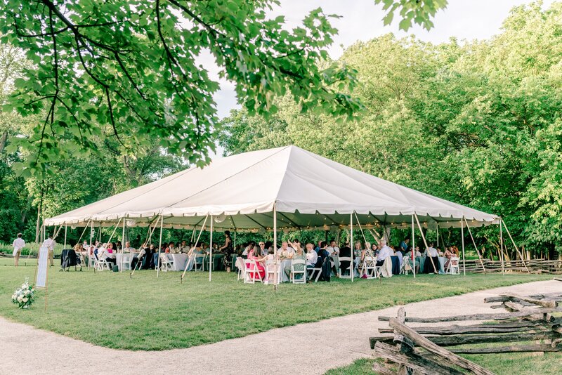 elegant-summer-wedding-in-fairfax-virginia-00016