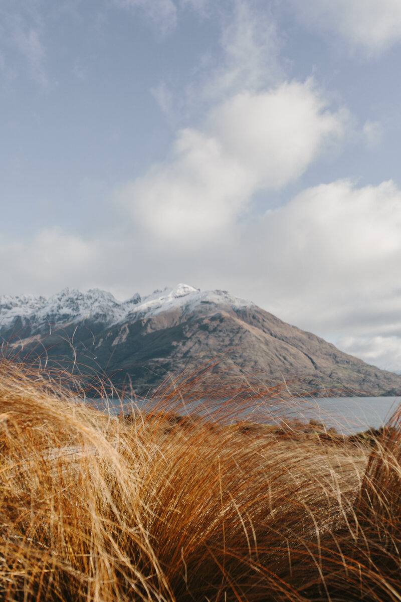 The Lovers Elopement Co - mountains of South Island New Zealand
