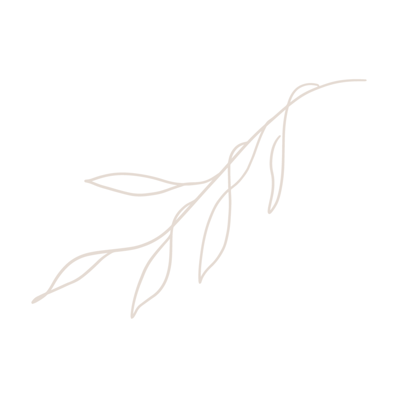 Leaf illustrationx