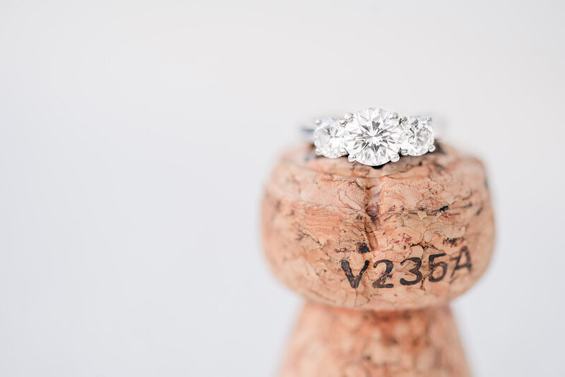 Sam & Libby Engaged-115