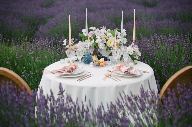 Romance-in-the-middle-of-the-Lavender-Fields2