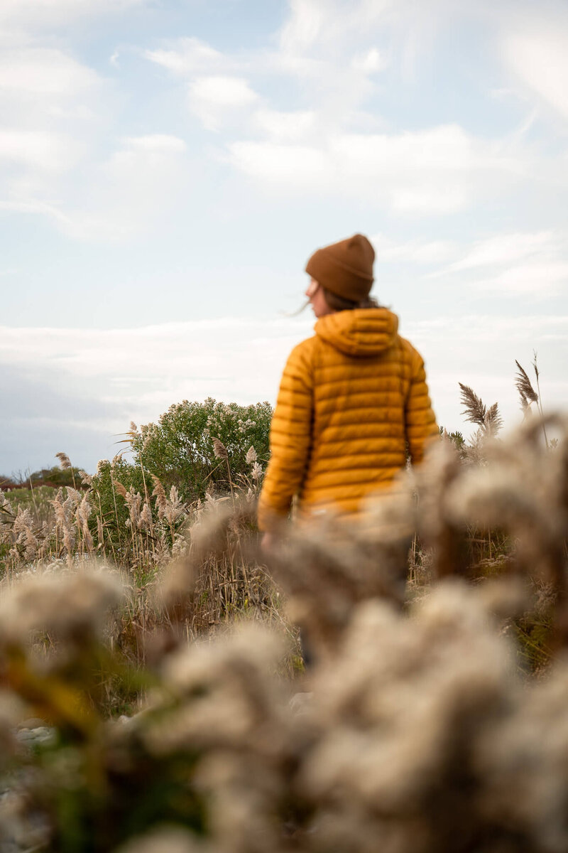 meredith ewenson wearing a yellow puffer jacket looking at nature at sunrise with cattails in the foreground