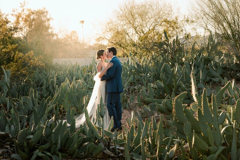 Bride and Groom surrounded by cactus at Andaz Resort Scottsdale AZ