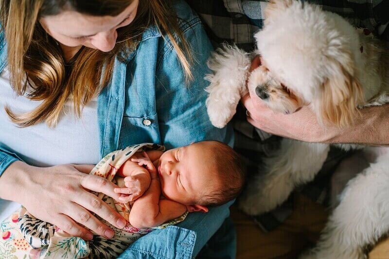 A candid moment where a woman cradles a newborn in her arms while a man, presumably the father, holds a fluffy white dog close to the baby.