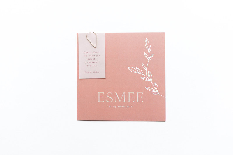 Geboortekaartje Esmee met label van kalkpapier