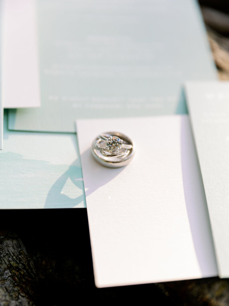 selby-gardens-wedding-julie-sumner-jake-ford-photography-nk-weddings_069