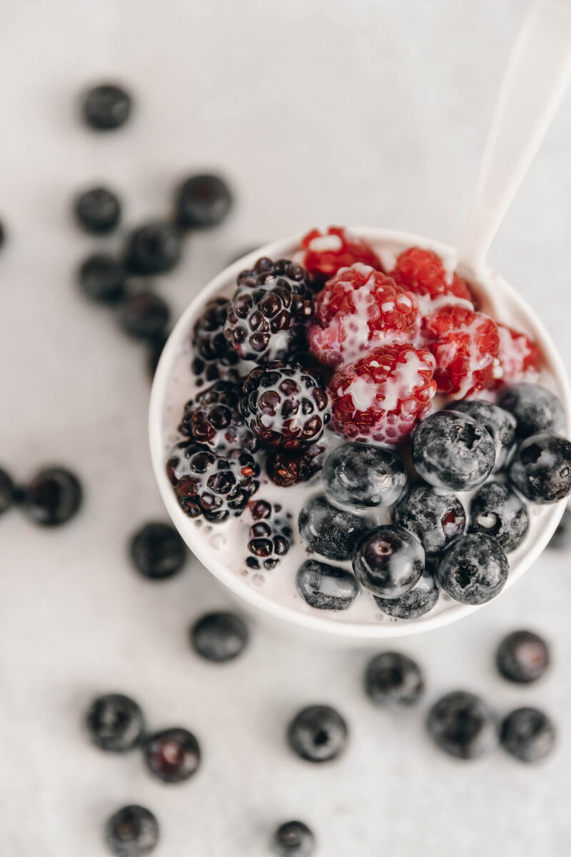 fresh-fruit-frozen-yogurt-blueberries