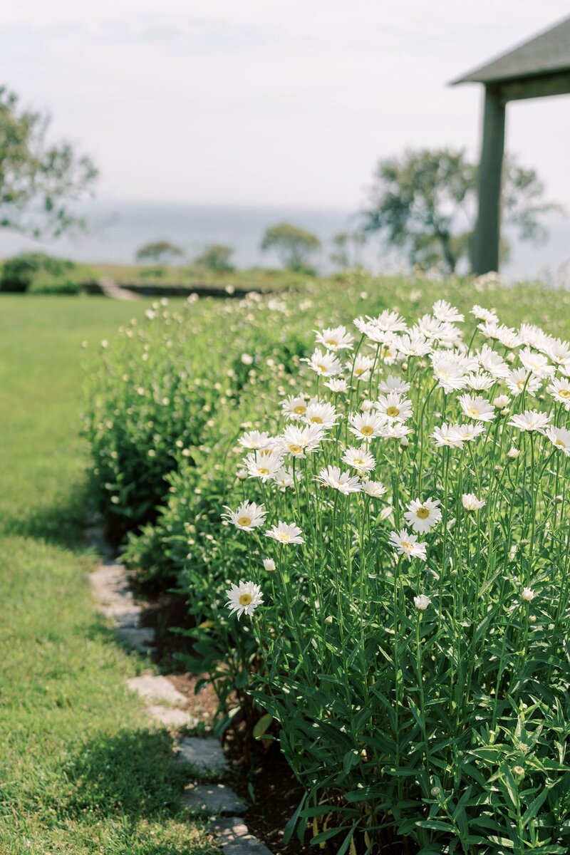 Julia and Alex's Westport, Massachusetts wedding