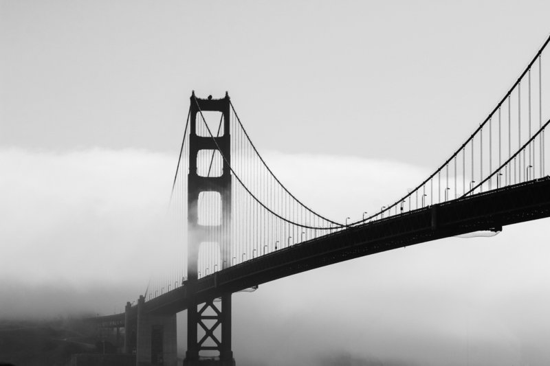 matthew-ronder-seid-424703-unsplash