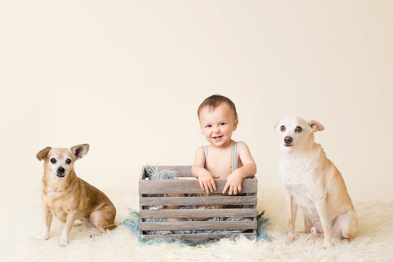 1 year old with dogs