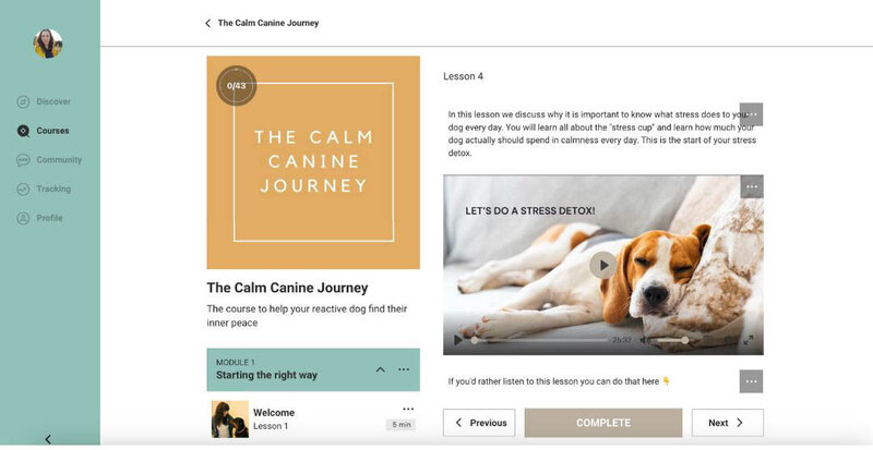 Calm canine journey screen