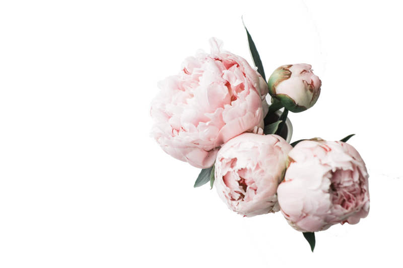 peony