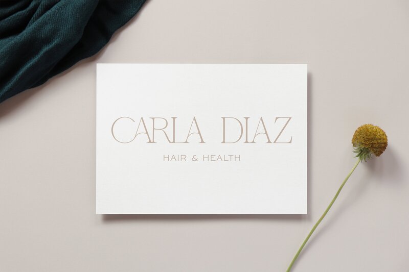 Caria Diaz Mock 2