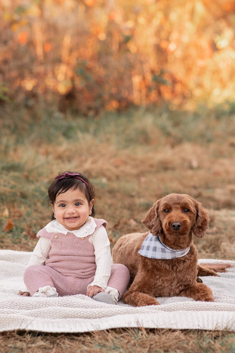 six month old girl sits with labradoodle outside