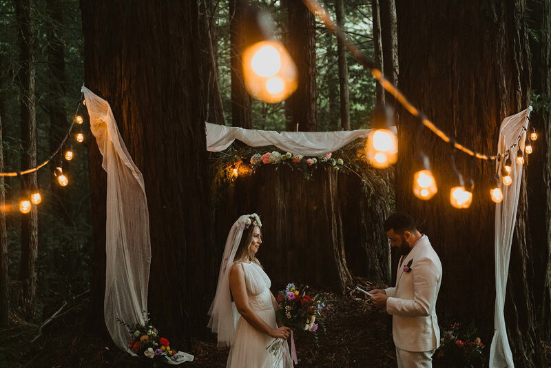 bride and groom standing in forest