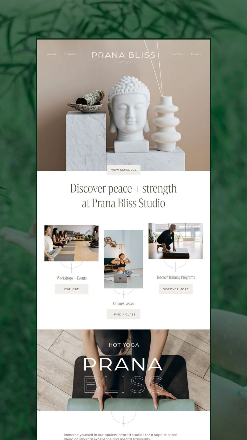 Yoga website design services alexandria virginia
