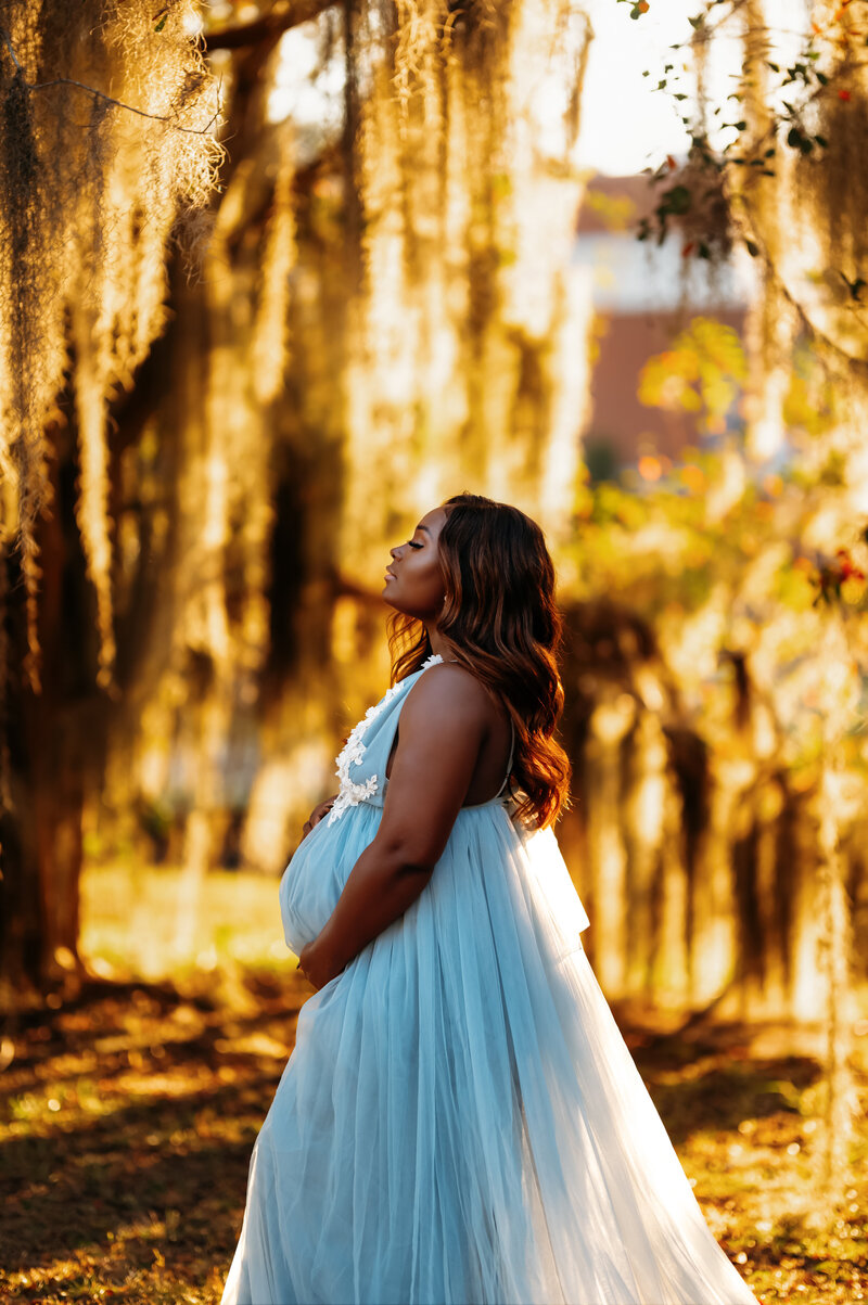 maternity session NIM, outdoor maternity, georgia maternity photographer, fort moore photographer, fort moore maternity photographer, maternity gowns