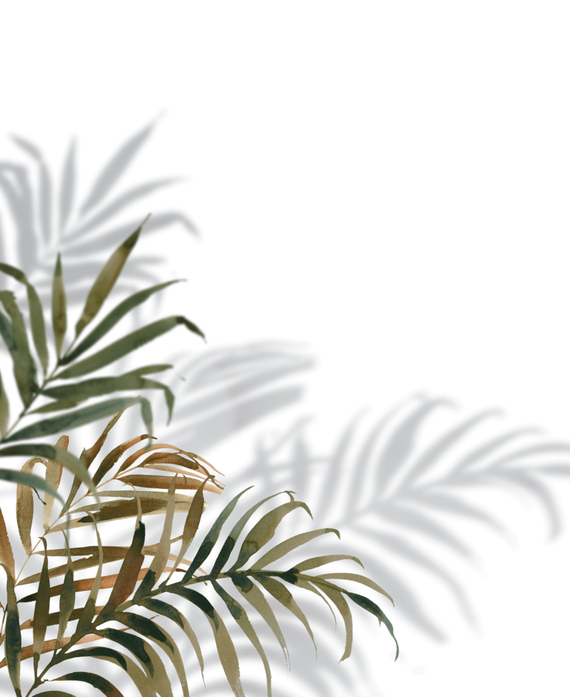 Tropical plant illustration