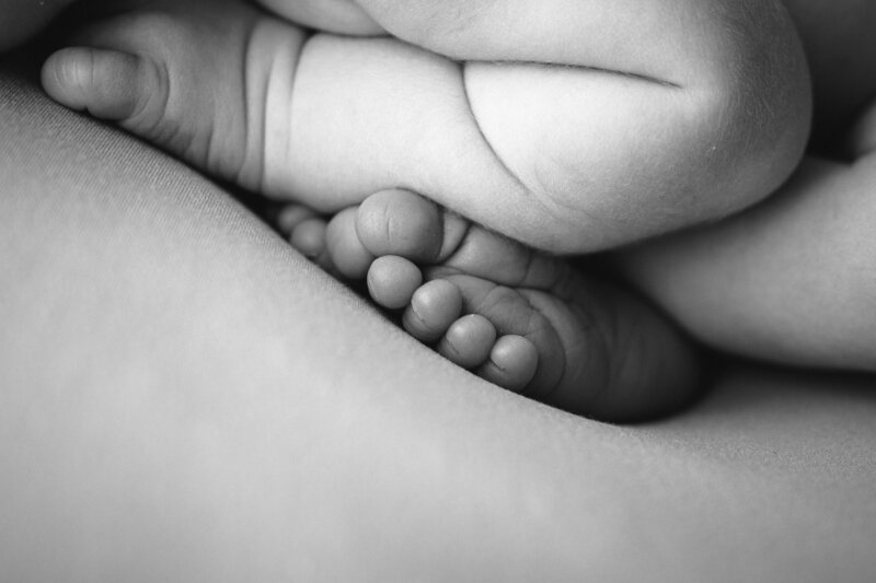 Black and white image of a newborn's toes