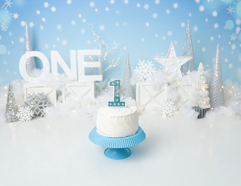 Celebrating a first birthday with a winter wonderland themed cake smash in Rochester, NY.