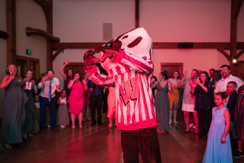 mascot event at barnwood events in madison, winconsin.