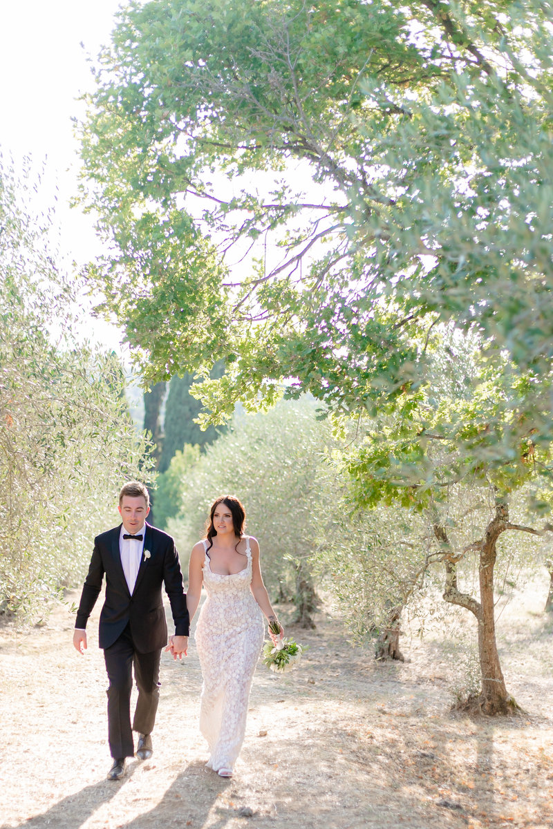 bridegrooms walking in olive trees in south of france