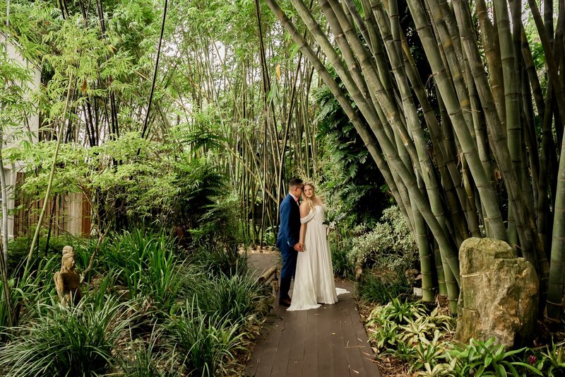 Bride and groom pictured in the bamboo garden at Selby gardens in Sarasota, Fl.