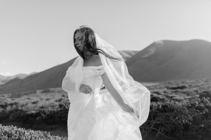 black-and-white-bridal-portrait-big-sur-california.jpg