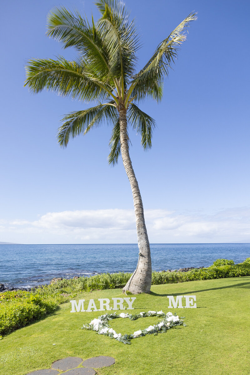 Maui Proposal Package 3