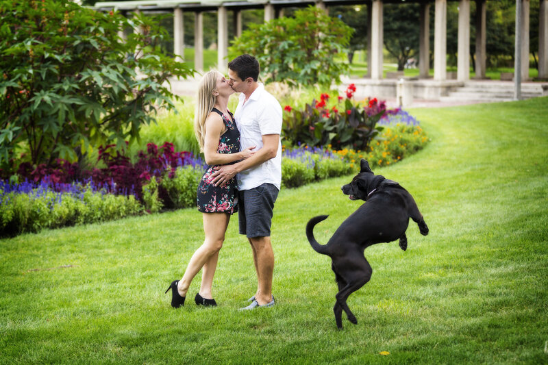 A funny engagement photo of a dog jumping in the air and looking at his parents kiss.